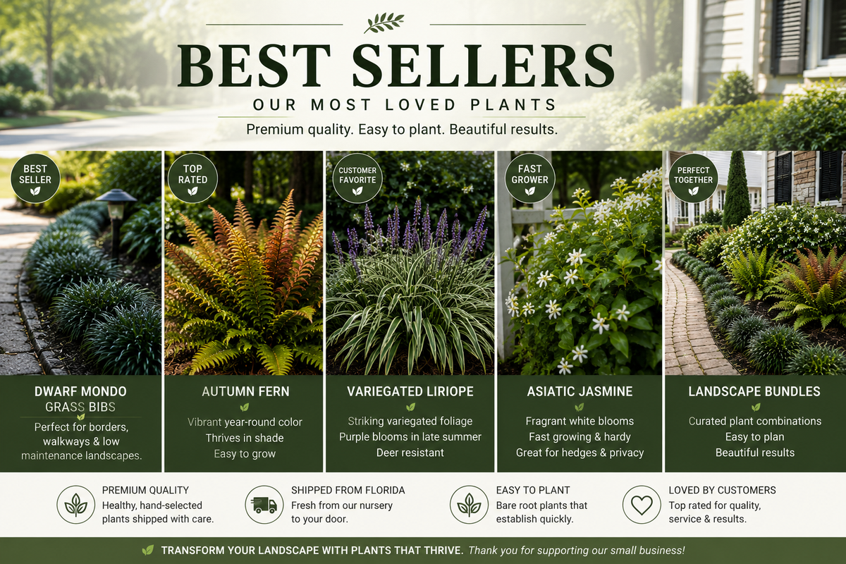 Best Sellers