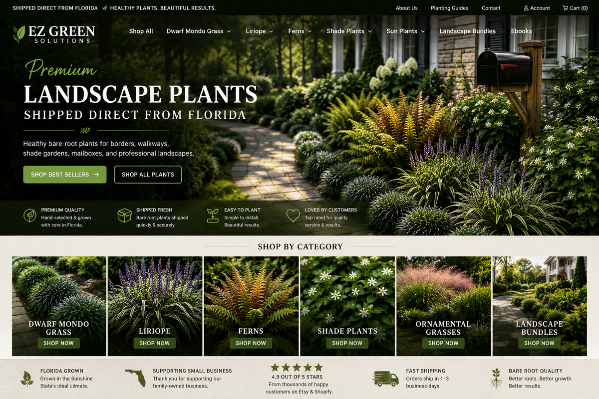 Home page