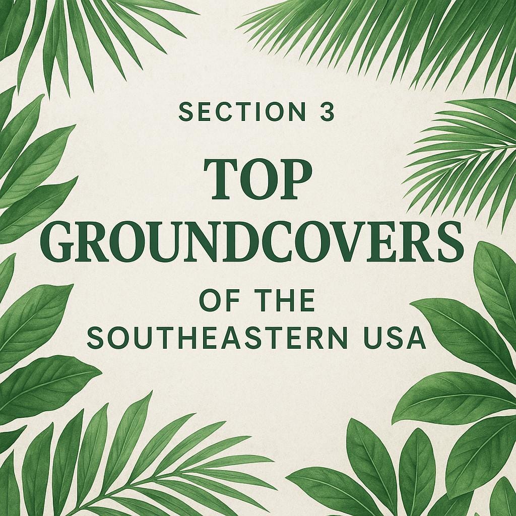Groundcover Master Guide for the Southeastern USA