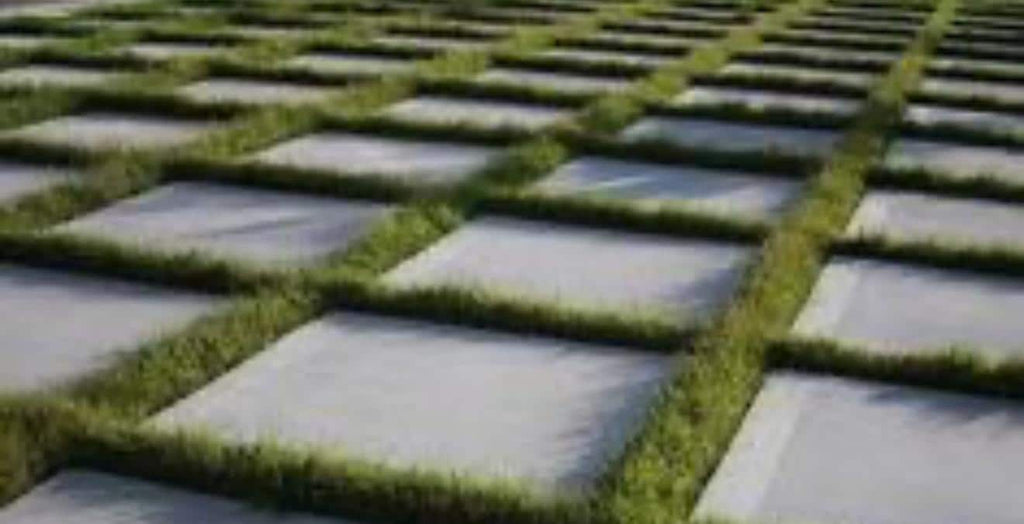 Dwarf Mondo Grass Planting Guide | Southeastern USA Master Guide | Spacing, Care & Groundcover Instructions (PDF)