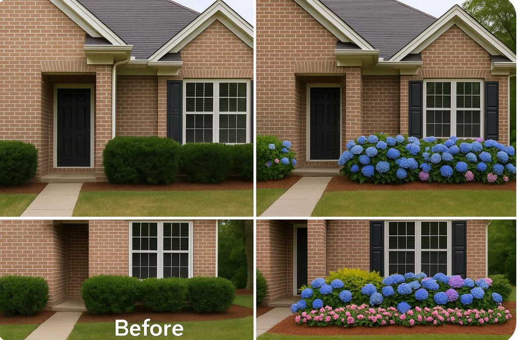 Southern Hydrangea & Rose Garden Guide, Zones 7-10 (Digital Download)