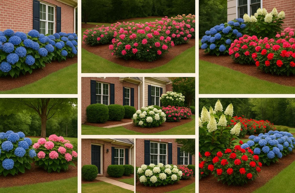 Southern Hydrangea & Rose Garden Guide, Zones 7-10 (Digital Download)