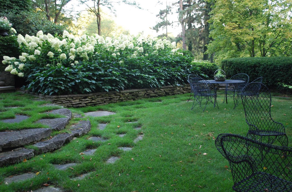 Southern Hydrangea & Rose Garden Guide, Zones 7-10 (Digital Download)
