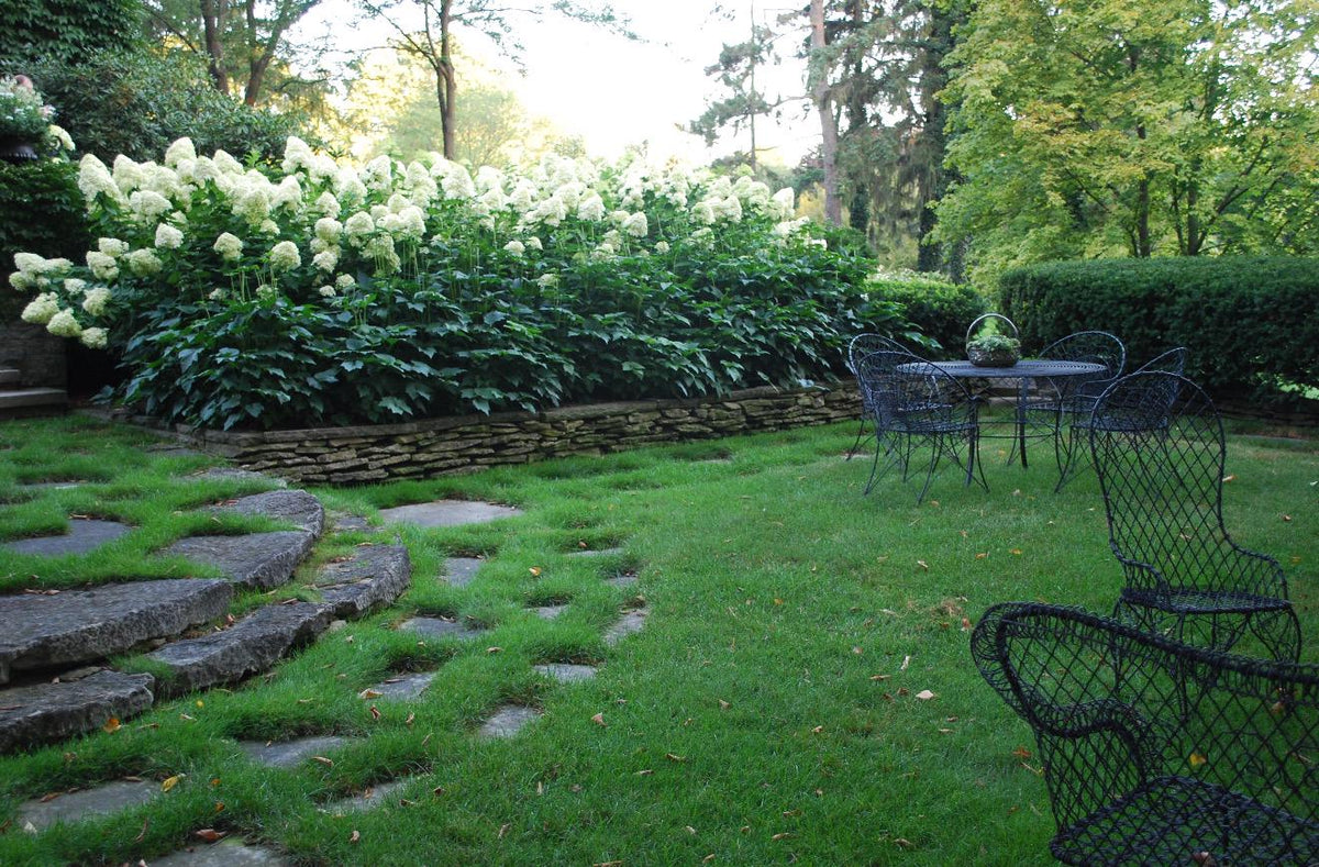 Southern Hydrangea & Rose Garden Guide, Zones 7-10 (Digital Download)