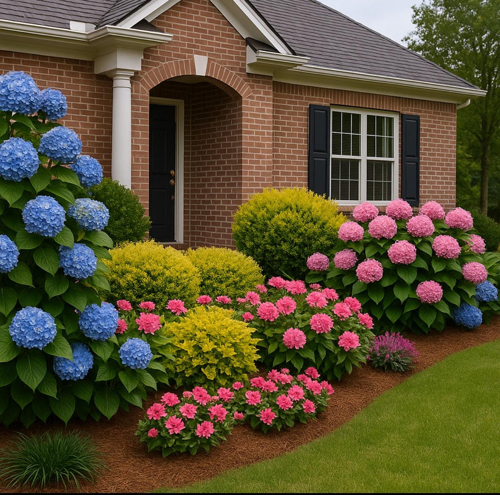 Southern Hydrangea & Rose Garden Guide, Zones 7-10 (Digital Download)