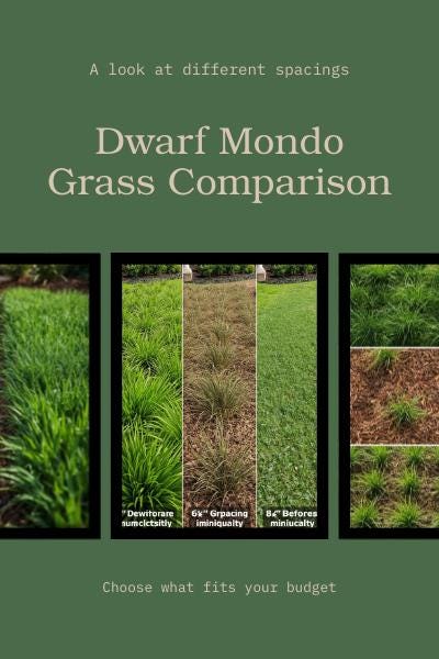 Florida Groundcover Quantity & Layout Calculator