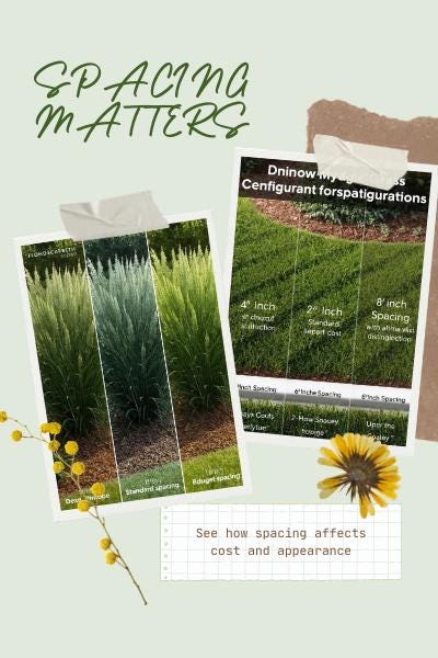 Florida Groundcover Quantity & Layout Calculator