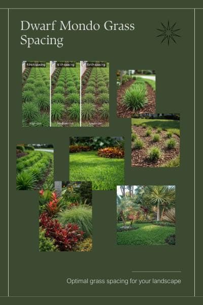 Florida Groundcover Quantity & Layout Calculator