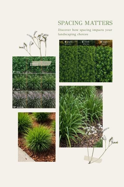 Florida Groundcover Quantity & Layout Calculator