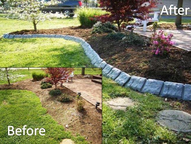 100 Dwarf Mondo Grass Bibs | Low Maintenance Shade Ground Cover Grass