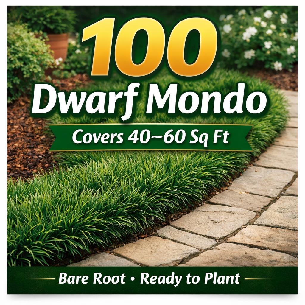 100 Dwarf Mondo Grass Bibs | Low Maintenance Shade Ground Cover Grass