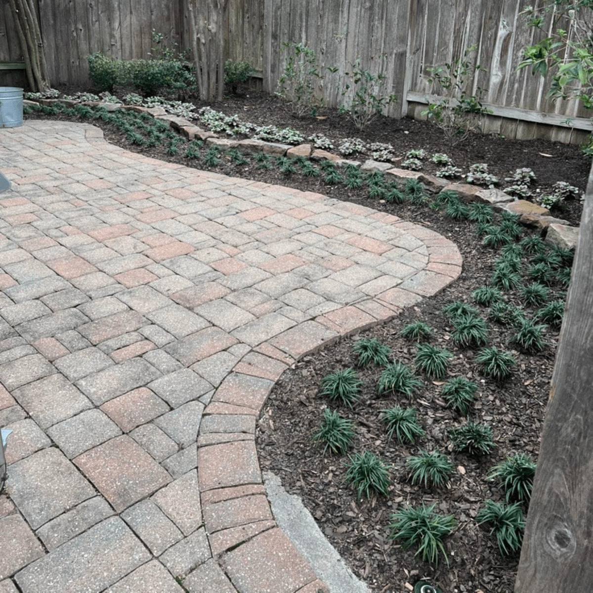 Dwarf Mondo Grass System – Choose Your Coverage (10–1000 Bibs) | Step-By-Step Planting Guide Included | Perfect Borders & Groundcover