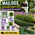 Mailbox Landscape Kit |100 Dwarf Mondo + 25 Society Garlic