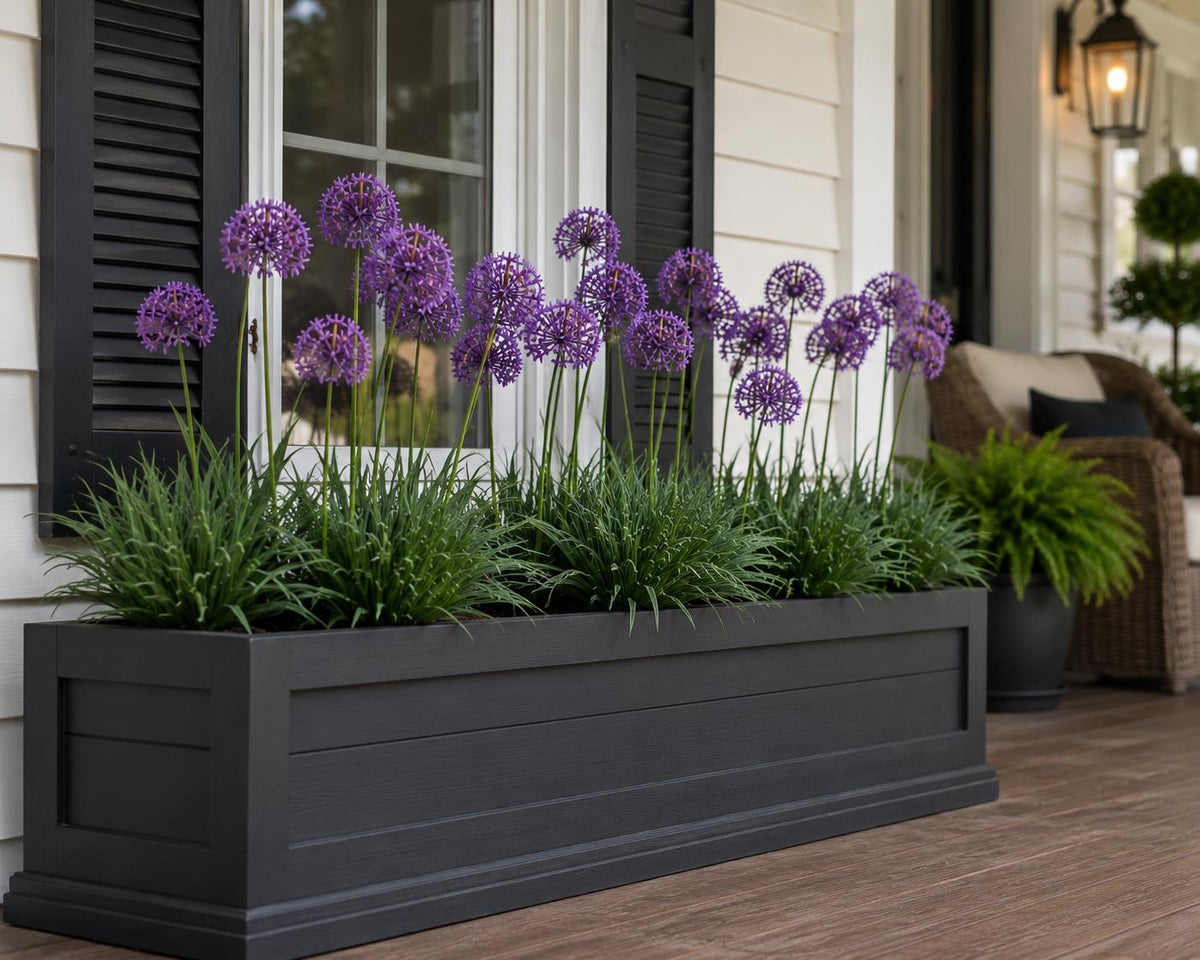 Mailbox Landscape Kit |100 Dwarf Mondo + 25 Society Garlic
