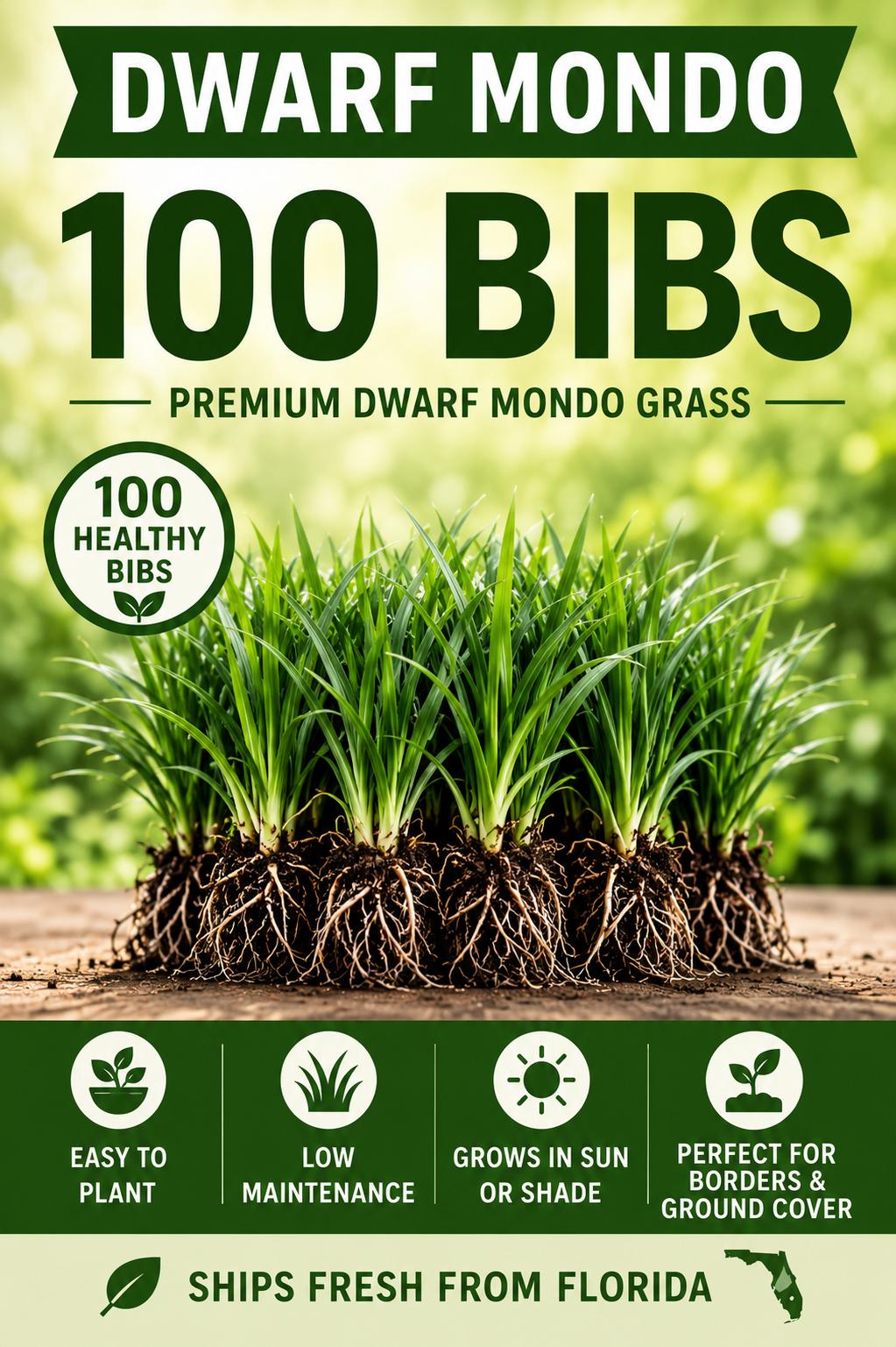 100 Dwarf Mondo Grass Plants – Shade Ground Cover, No Mow Lawn Alternative (Bare Root)